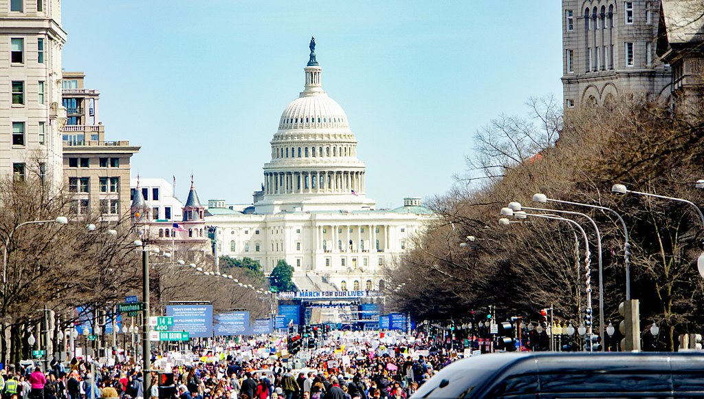 Колонки: March for Our Lives Washington DC
