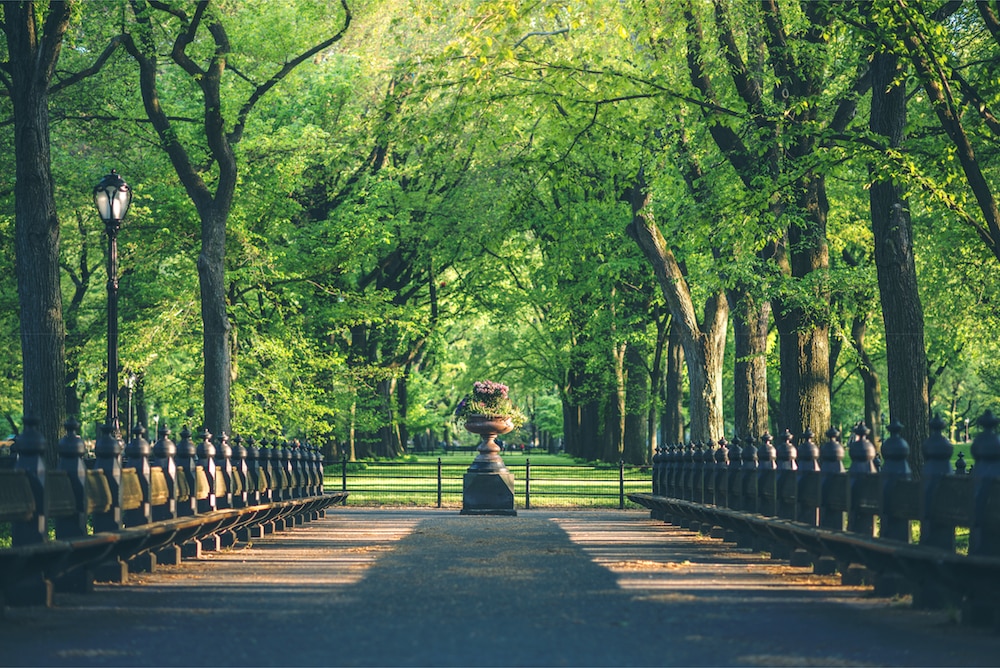 Путешествия: Весенняя прогулка: самые живописные парки Нью-Йорка рис 5