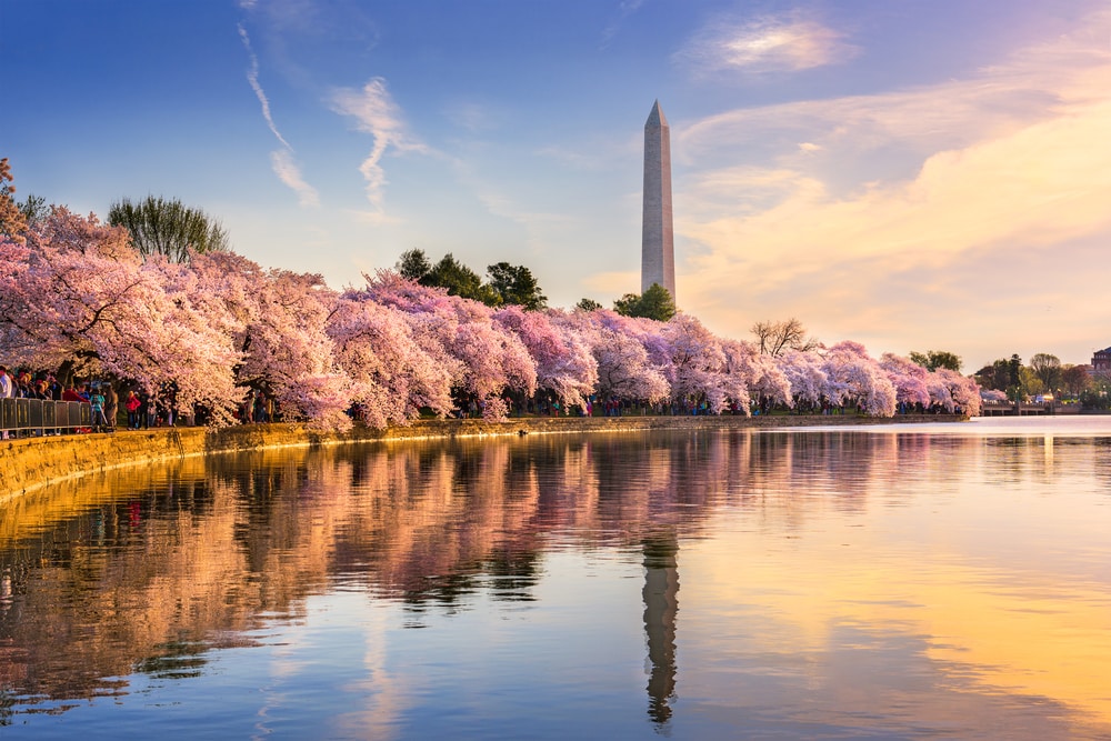 Путешествия: 25 лучших направлений в США по версии TripAdvisor (фото) рис 15