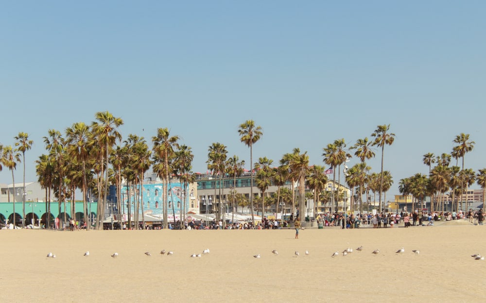 Путешествия: Топ-5 пляжей Лос-Анджелеса рис 2