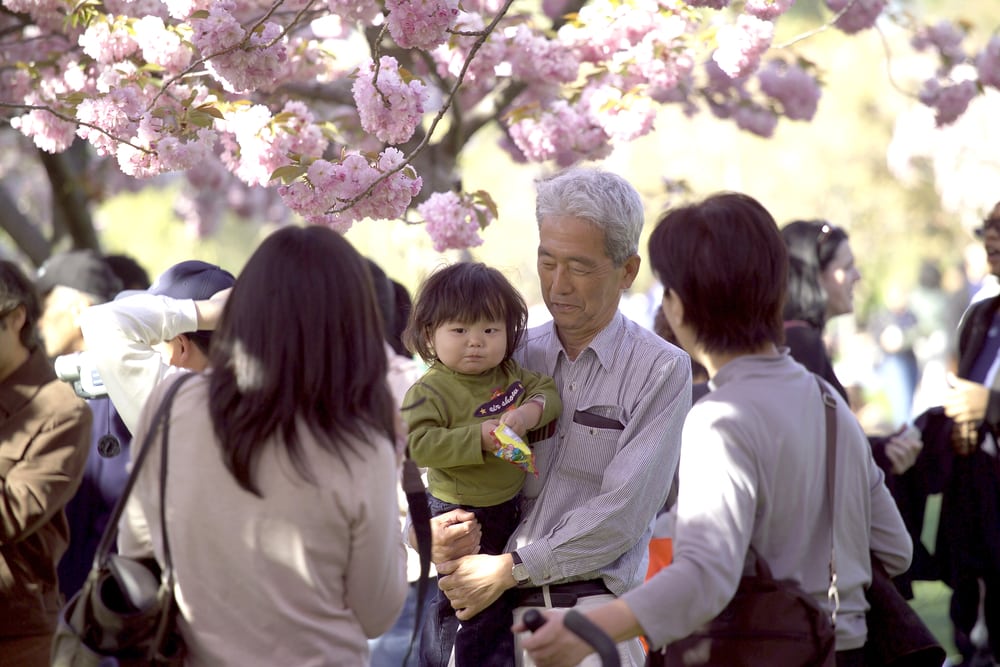 Путешествия: В Нью-Йорке проходит фестиваль Сакура Мацури: что нужно знать рис 7