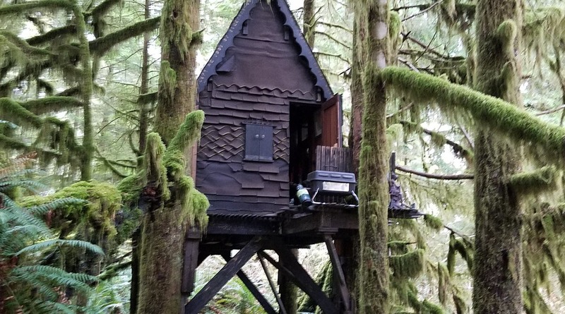 Локальные новости: В лесу Вашингтона нашли домик на дереве, набитый детской порнографией