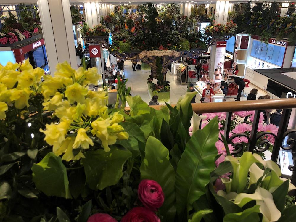 Локальные новости: Macy's Flower Show 2018 | Путешествуем по сказочному королевству (фото) рис 21