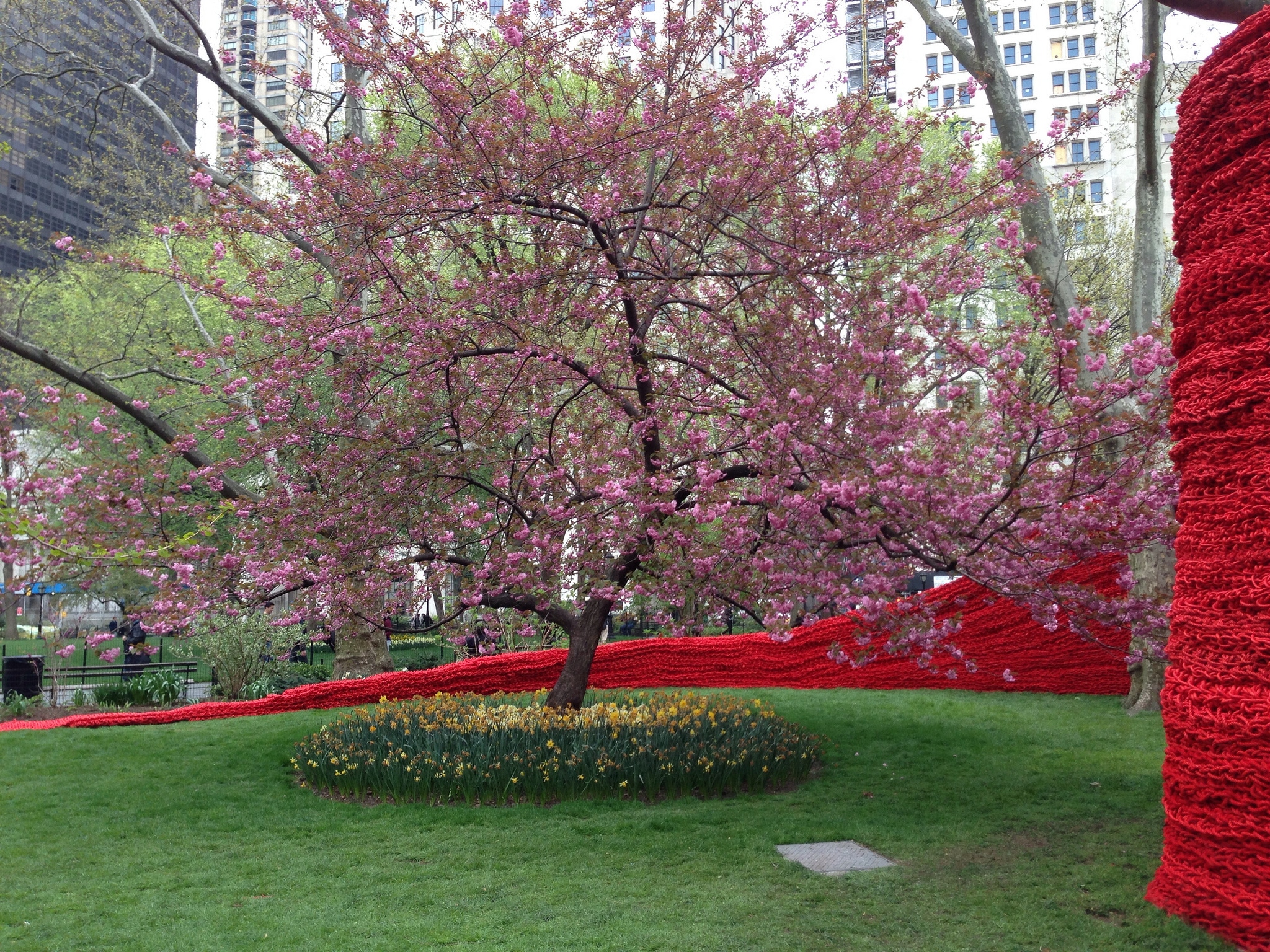 Афиша: Где посмотреть на цветение сакуры в Нью-Йорке рис 7