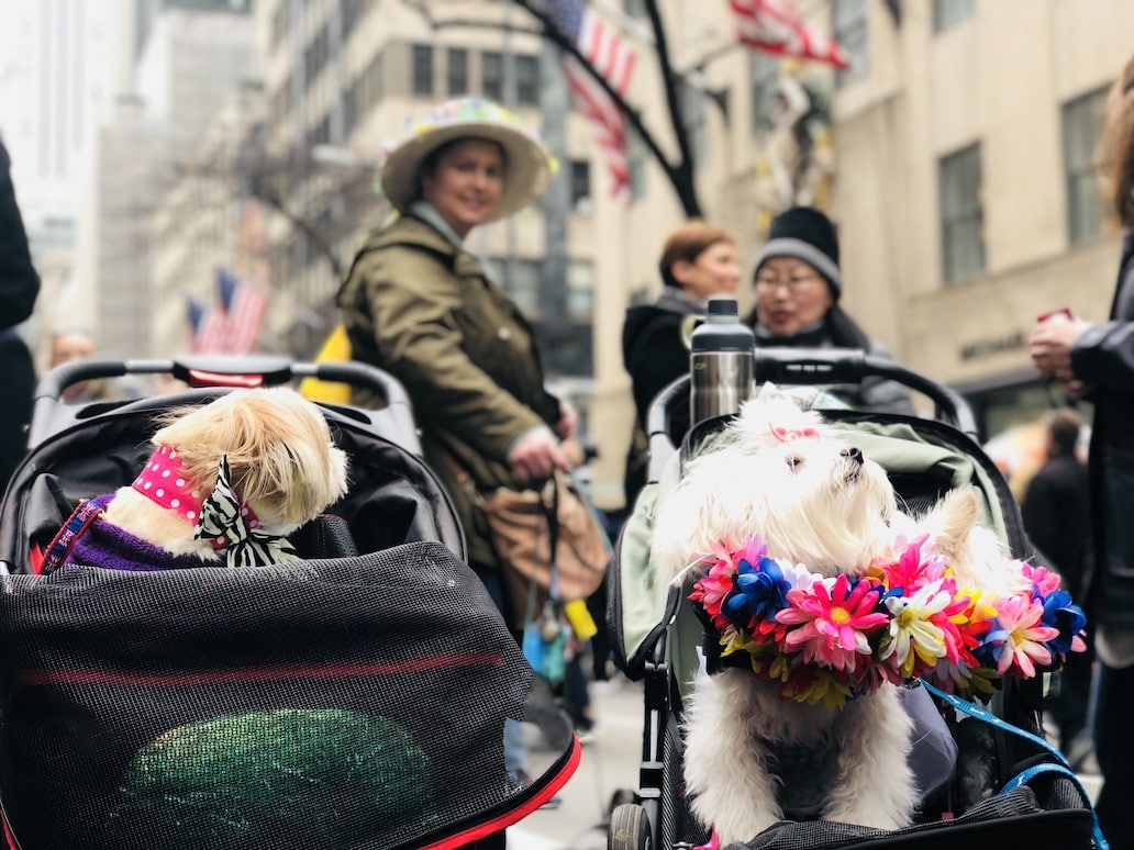 Афиша: Пасхальный парад шляп в Нью-Йорке: фотоотчет рис 24