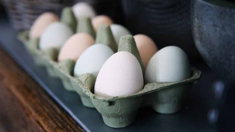 Здоровье: 200 млн яиц отзывают из продажи в 9 штатах из-за сальмонеллы