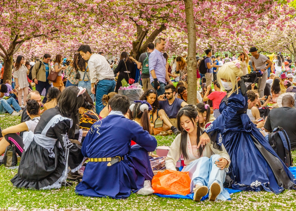 Афиша: Где посмотреть на цветение сакуры в Нью-Йорке рис 11