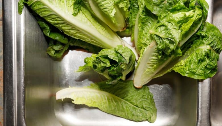 Здоровье: Салат ромэн не рекомендуют покупать  до середины мая
