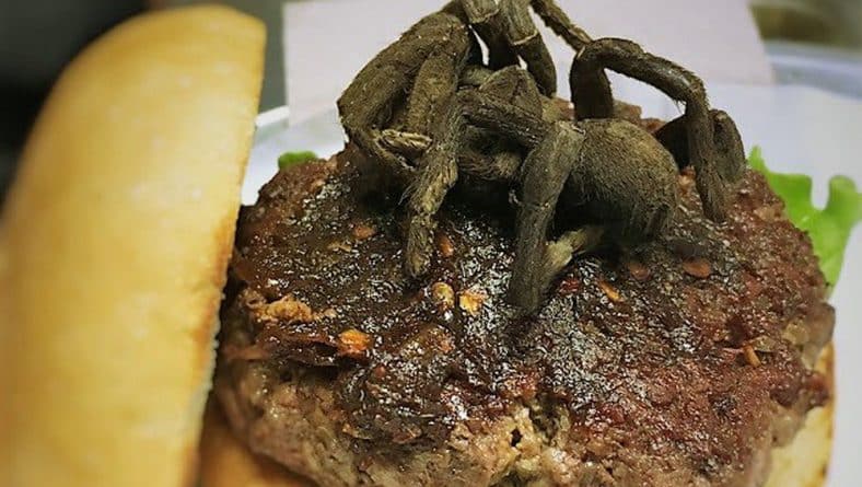 Развлечения: В Северной Каролине можно попробовать бургер с тарантулом