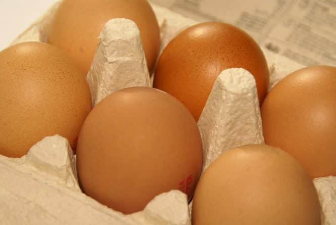Здоровье: Более 200 миллионов яиц отозвали из-за масштабной вспышки сальмонеллеза