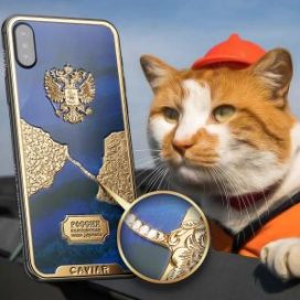 Технологии: Россияне выпустили Iphone X с изображением Крымского моста из золота и бриллиантов