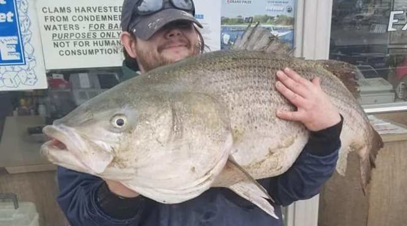 Локальные новости: В Нью-Джерси выловили гигантскую рыбу (фото)
