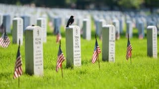 Колонки: Военные кладбища в США