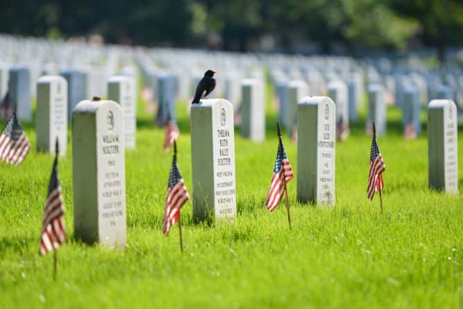 Колонки: Военные кладбища в США