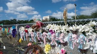 Колонки: Остаться в живых