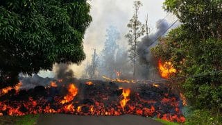 Колонки: Дайджест I 2 недели в 14 вопросах-ответах