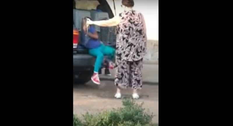 Локальные новости: В Теннесси бабушка перевозила внуков в переносках для собак (видео)