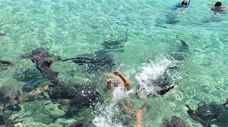 Локальные новости: На Багамах акула-нянька напала на 19-летнюю instagram-модель (фото)