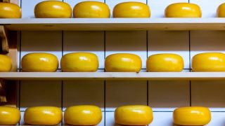 Колонки: Сыр по-американски, или Почему местной моцареллой можно играть в пинг-понг