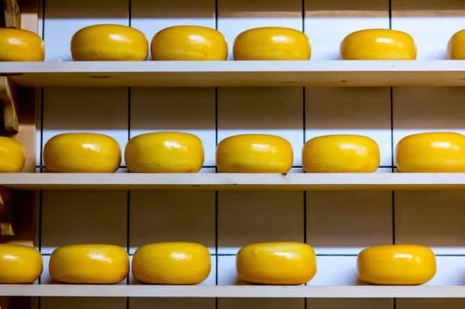 Колонки: Сыр по-американски, или Почему местной моцареллой можно играть в пинг-понг