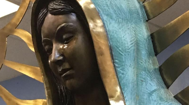 Локальные новости: В США исследуют статую Девы Марии, которая «заплакала» маслом с запахом роз