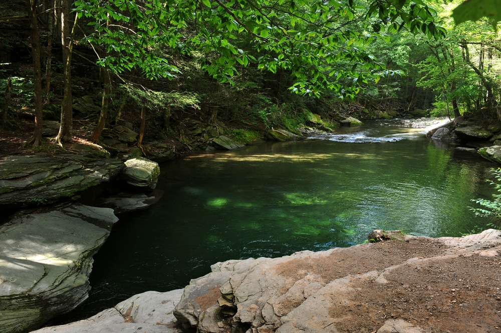 Путешествия: Топ-8 самых живописных естественных бассейнов в штате Нью-Йорк