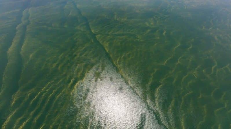 Здоровье: В популярном озере Нью-Джерси запретили купаться из-за опасных бактерий