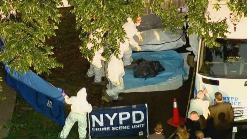Происшествия: В Бронксе нашли человеческие останки в мешках