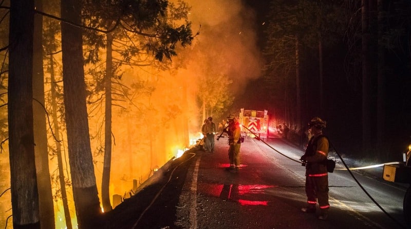 Локальные новости: В борьбе с огнем в лесах Калифорнии погиб пожарный