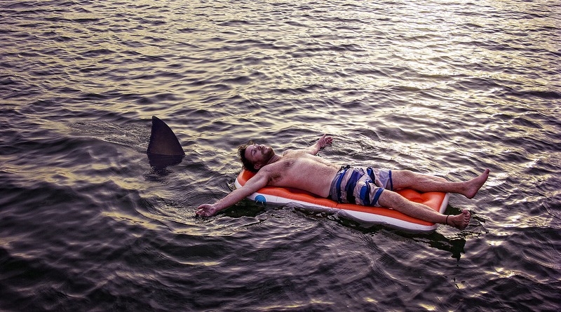 Происшествия: В США — очередное нападение акулы на пловца (фото 18+)