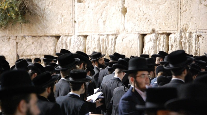 Локальные новости: В Нью-Йорке пройдет акция против иудейского обряда с убийством тысяч кур