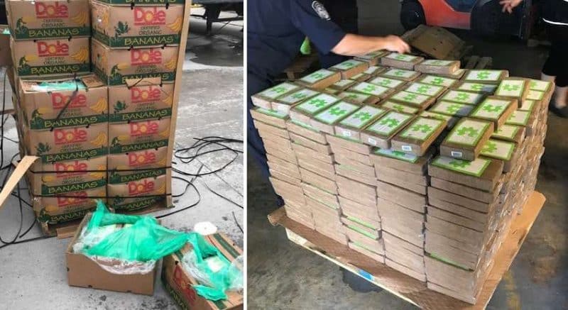 Происшествия: 540 кг кокаина нашли в бананах, пожертвованных тюрьме Scott Unit