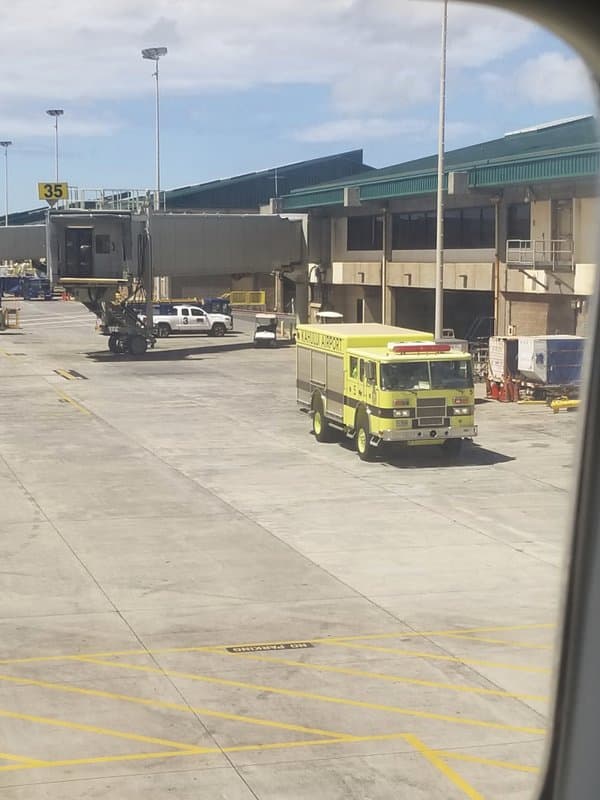 Происшествия: Чувство страха: пассажиры самолета Hawaiian Airlines пережили сразу 2 жутких инцидента рис 3