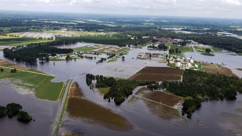 Погода: Ураган «Флоренс» уничтожил более 1,7 млн кур на фермах Северной Каролины