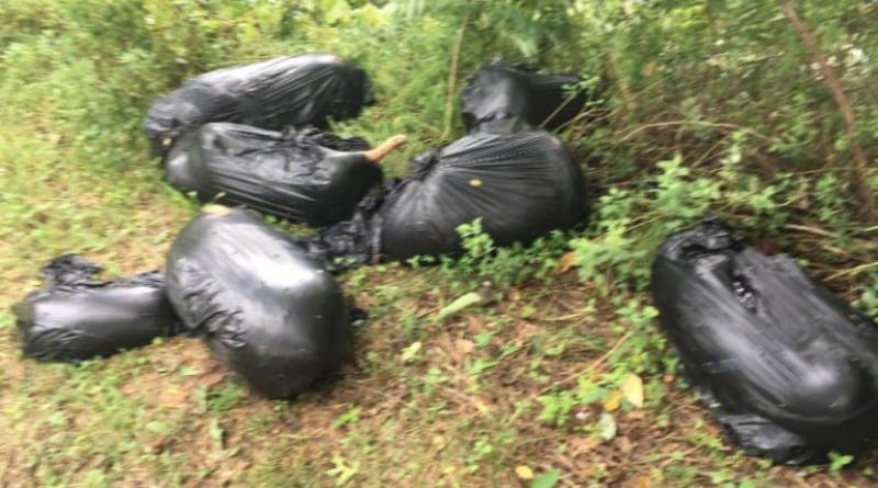 Локальные новости: На Лонг-Айленде в пакетах для мусора нашли 7 мертвых питбулей