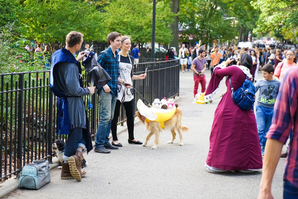 Локальные новости: Tompkins Square Halloween Dog Parade переедет в Corlears Hook Park