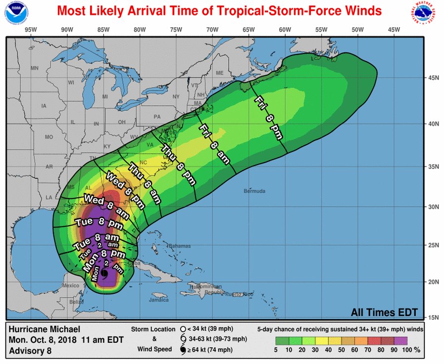 Общество: Власти США заявили, что «Майкл» может стать ураганом 3-й категории при подходе к Флориде