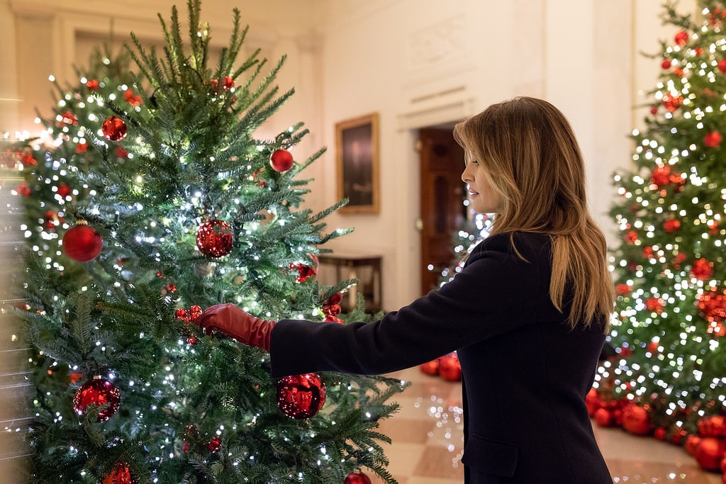 Знаменитости: Мелания украсила Белый дом красными елками — и к ним тут же «прифотошопили» Путина (фото)