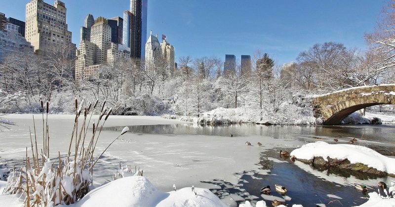 Погода: На День благодарения в Нью-Йорке обещают рекордные морозы