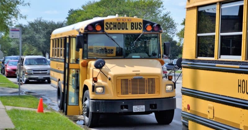 Происшествия: В Нью-Йорке 6-летнюю девочку едва не задушили шарфом в школьном автобусе