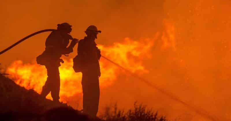 Экономика и финансы: Ущерб от лесных пожаров в Калифорнии оценили в $13 млрд