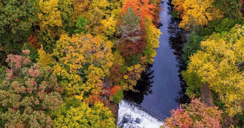 Локальные новости: «Живая» камера позволит насладиться осенней листвой в Нью-Йоркском ботаническом саду, не выходя из дома