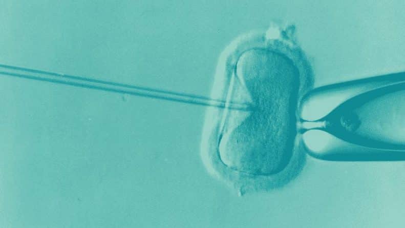 Здоровье: Мать пыталась обменять в соцсетях эмбрион женского пола на эмбрион мужского