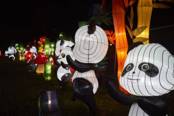 Локальные новости: На следующей неделе на Статен-Айленде откроется фестиваль волшебных зимних фонарей