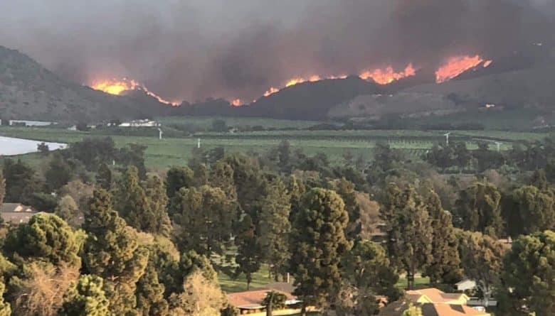 Происшествия: По меньшей мере 5 человек погибли в лесных пожарах, бушующих в Северной Калифорнии