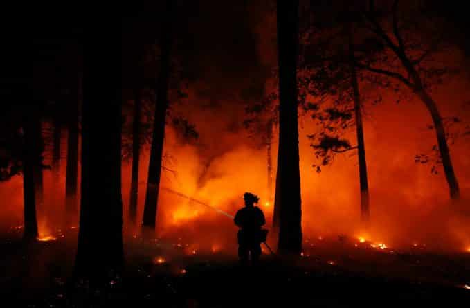 Происшествия: Ноябрьские лесные пожары в Калифорнии нанесли серьезный урон штату