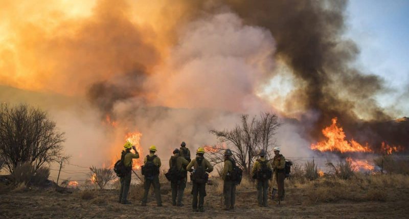 Происшествия: Пожары в Калифорнии: 71 жертва, более тысячи — пропали без вести