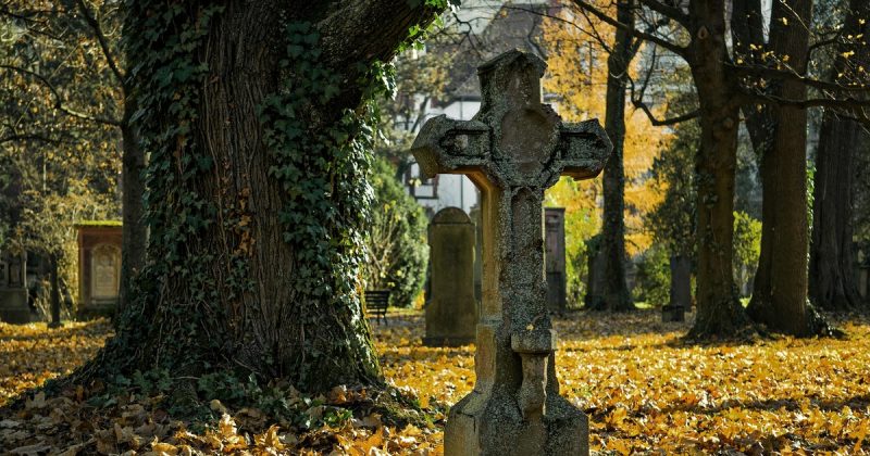 Происшествия: На кладбище в Коннектикуте выбрасывали останки усопших, чтобы освободить место для новых