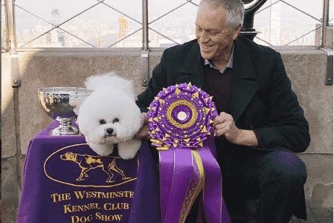 Афиша: Приходите на Westminster Dog Show в феврале и выиграйте $1 млн!