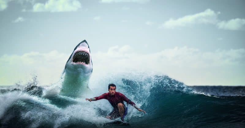 Локальные новости: Парень смог отбиться от 4,5-метровой акулы, схватившей его за ноги
